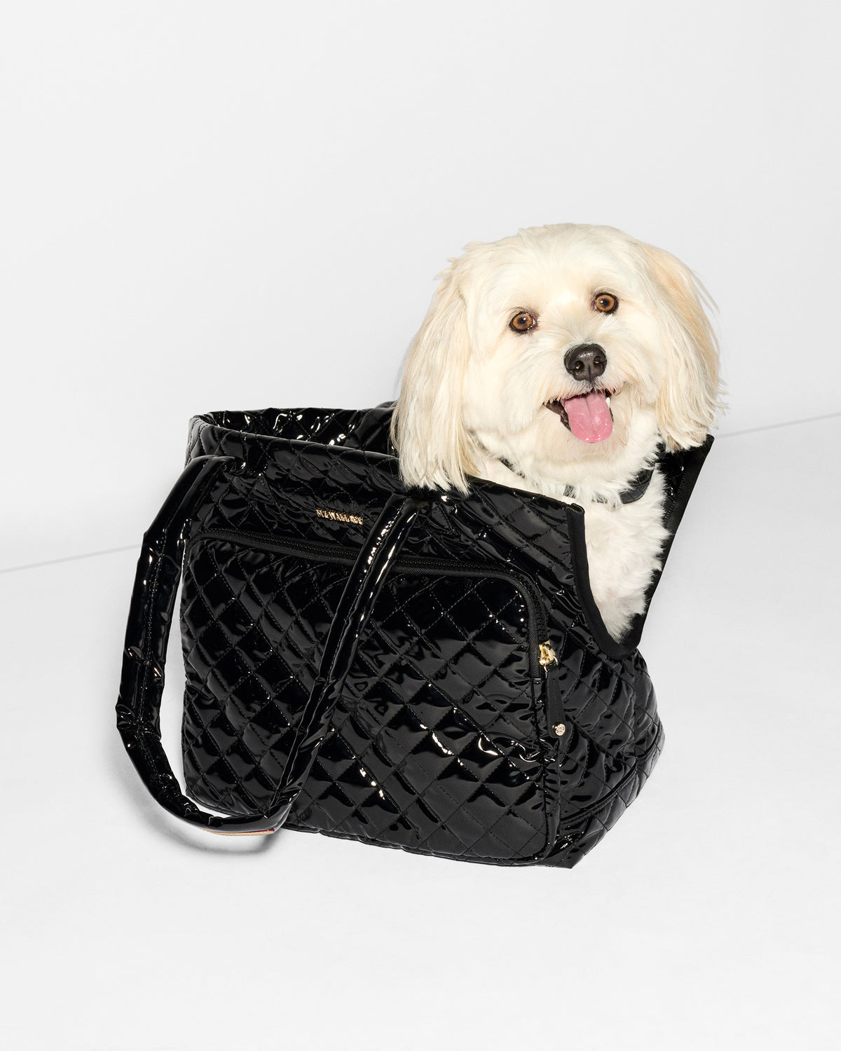 Black Lacquer Metro Dog Carrier