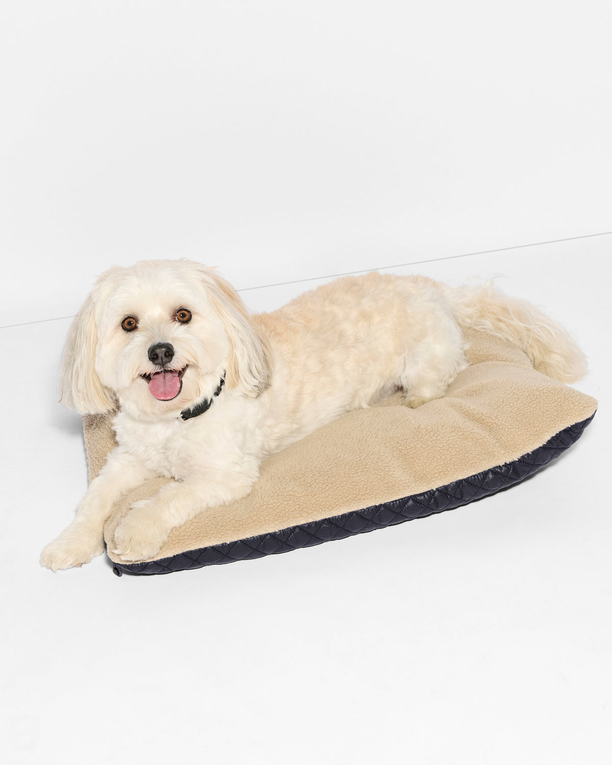 Black MZW Dog Bed